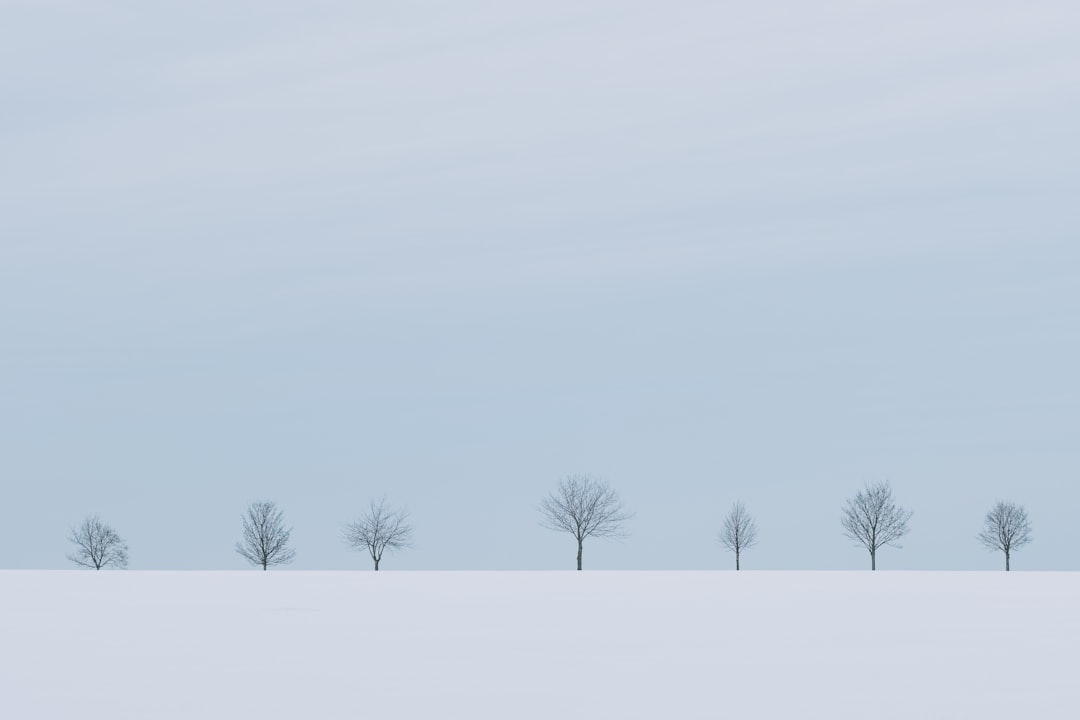 Shared atmospheric field